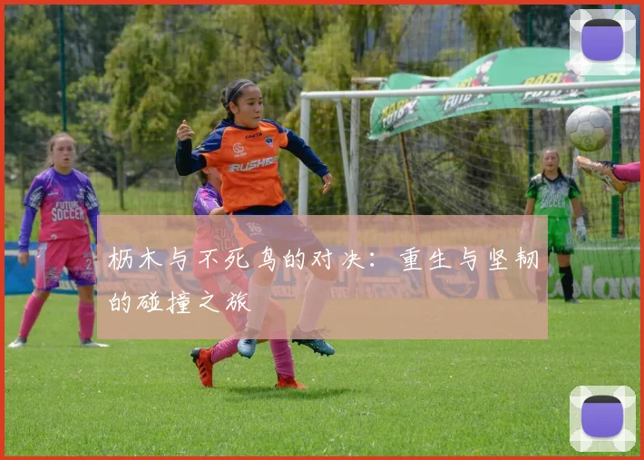 枥木与不死鸟的对决：重生与坚韧的碰撞之旅