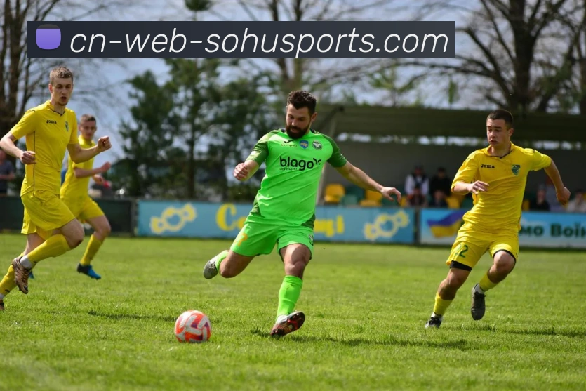 枥木与不死鸟的对决：重生与坚韧的碰撞之旅