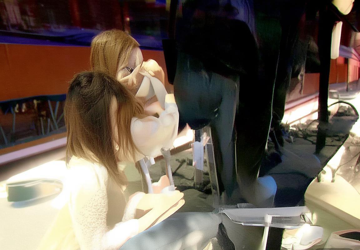 福建男篮主场迎战上海队：实力对决与球迷支持分析